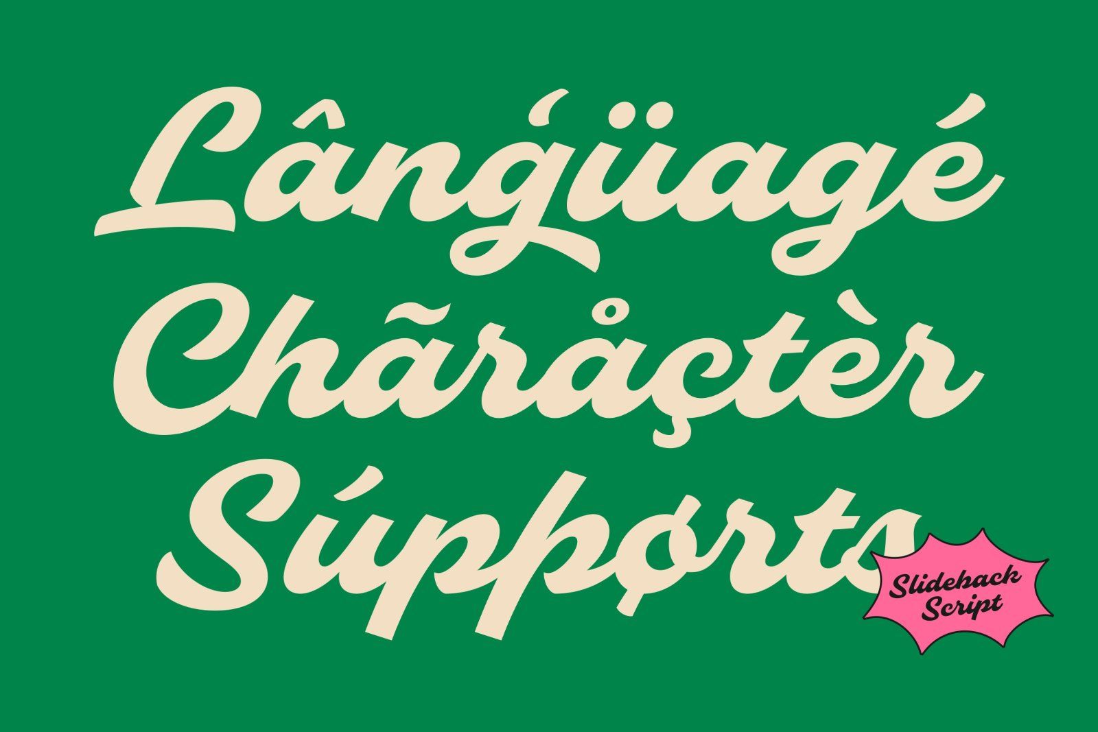 Slideback | Bold & Stylish Script — image 12