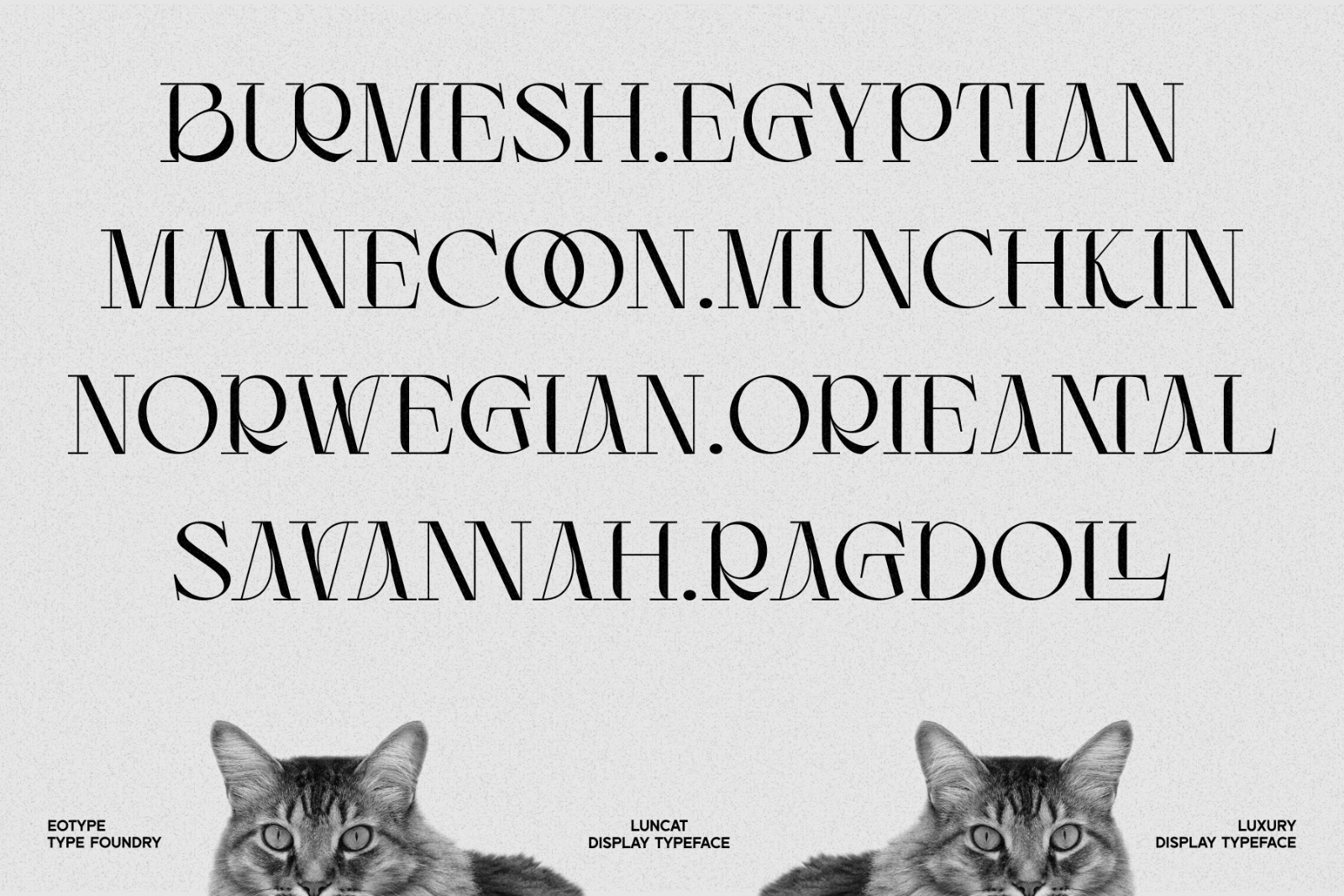 Luncat - Font — image 12