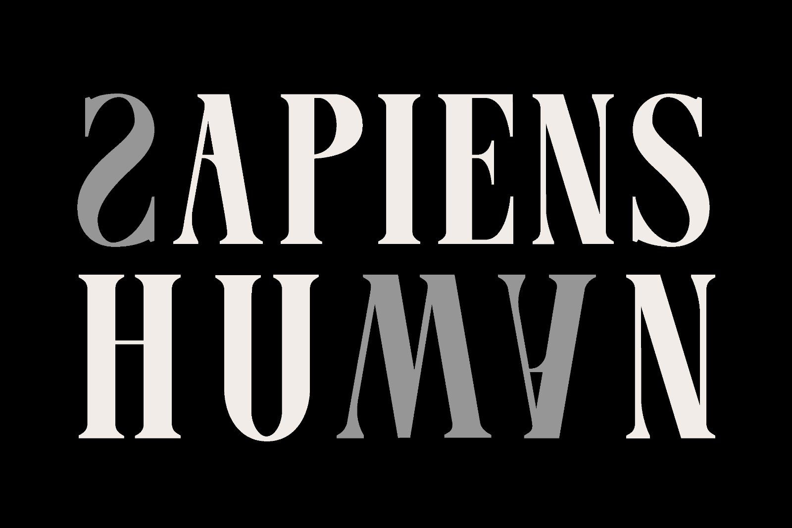 Taleron - Modern Serif — image 9