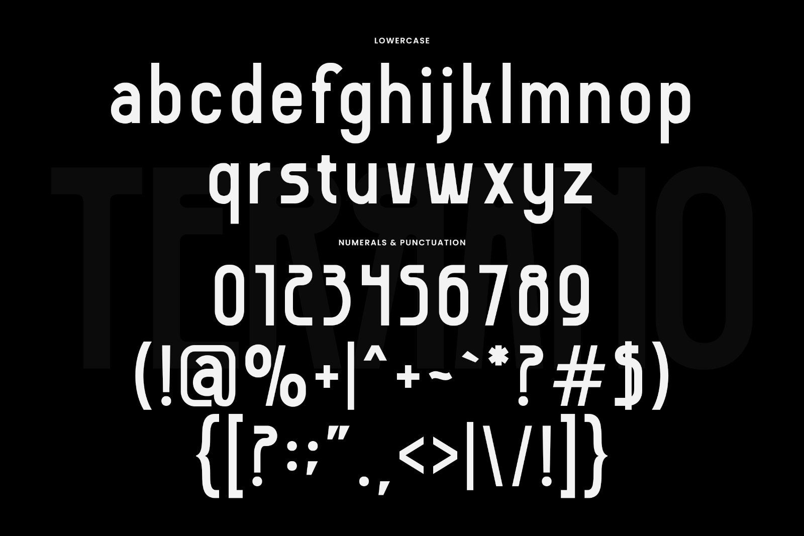 Terrano - Display Sans Serif Font — image 12