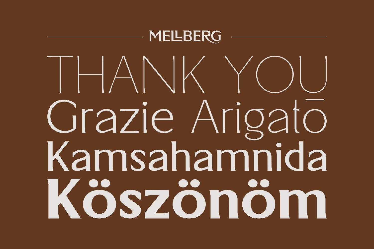 Mellberg Family Font — image 12