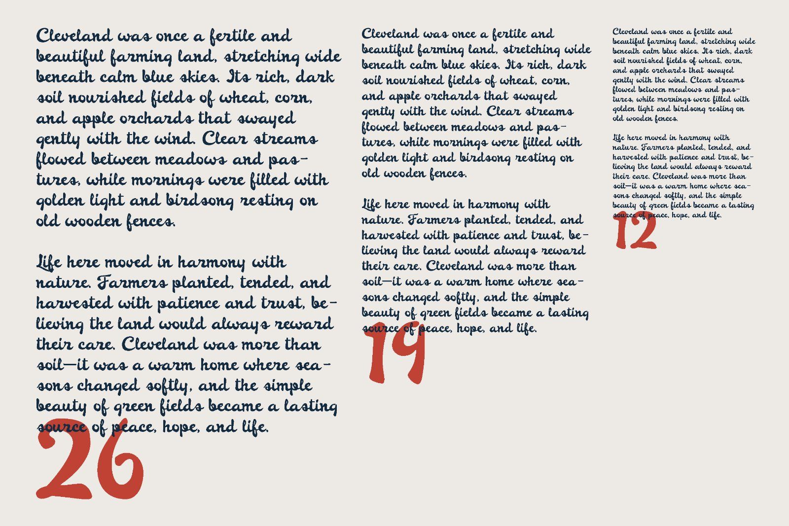 Pennelope - Handwritten Vintage Script — image 10