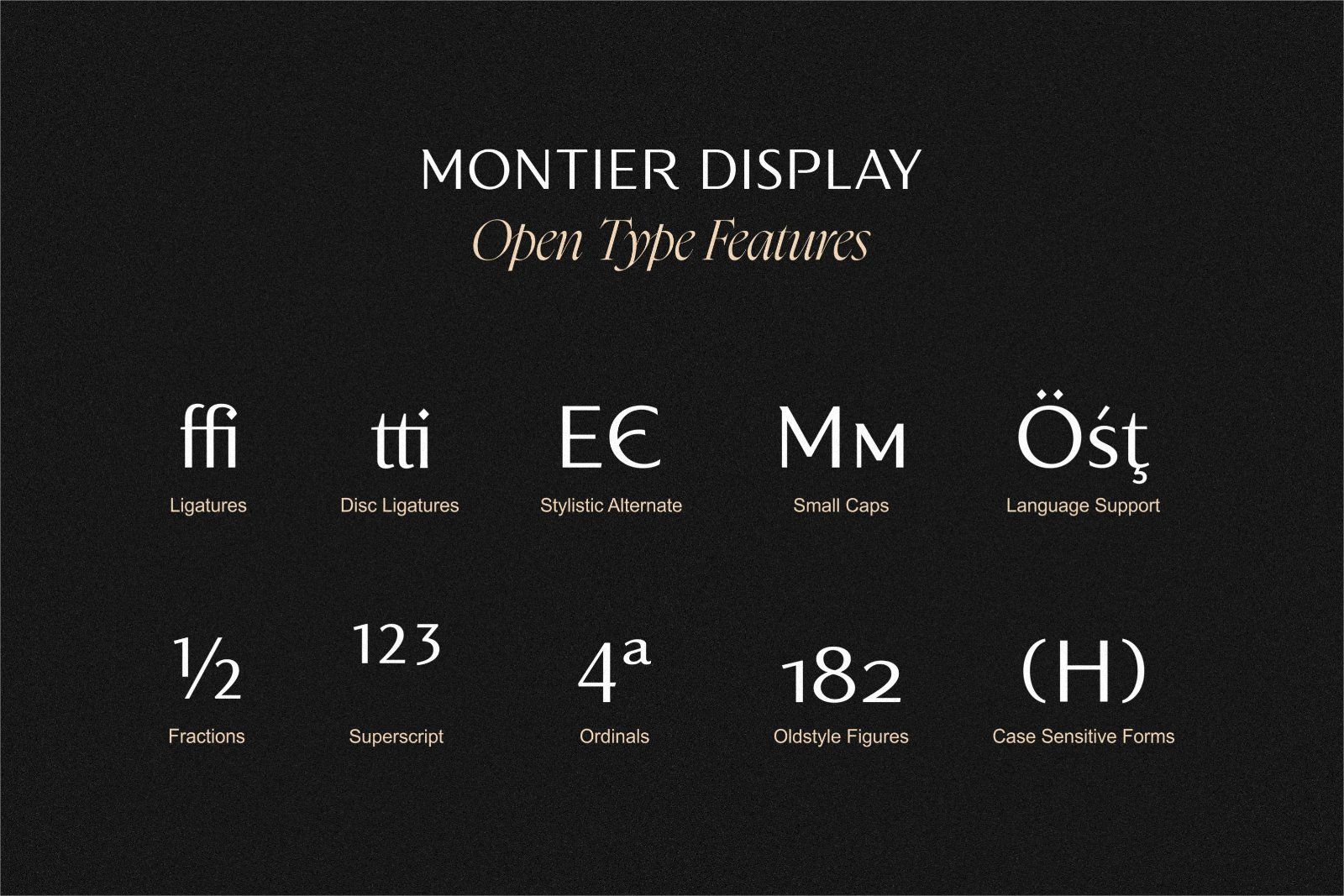 Montier Elegant Display — image 13