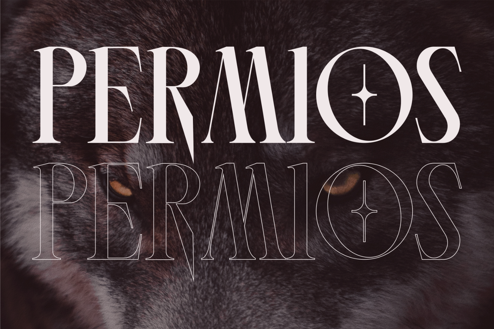 Wolves - Font — image 13