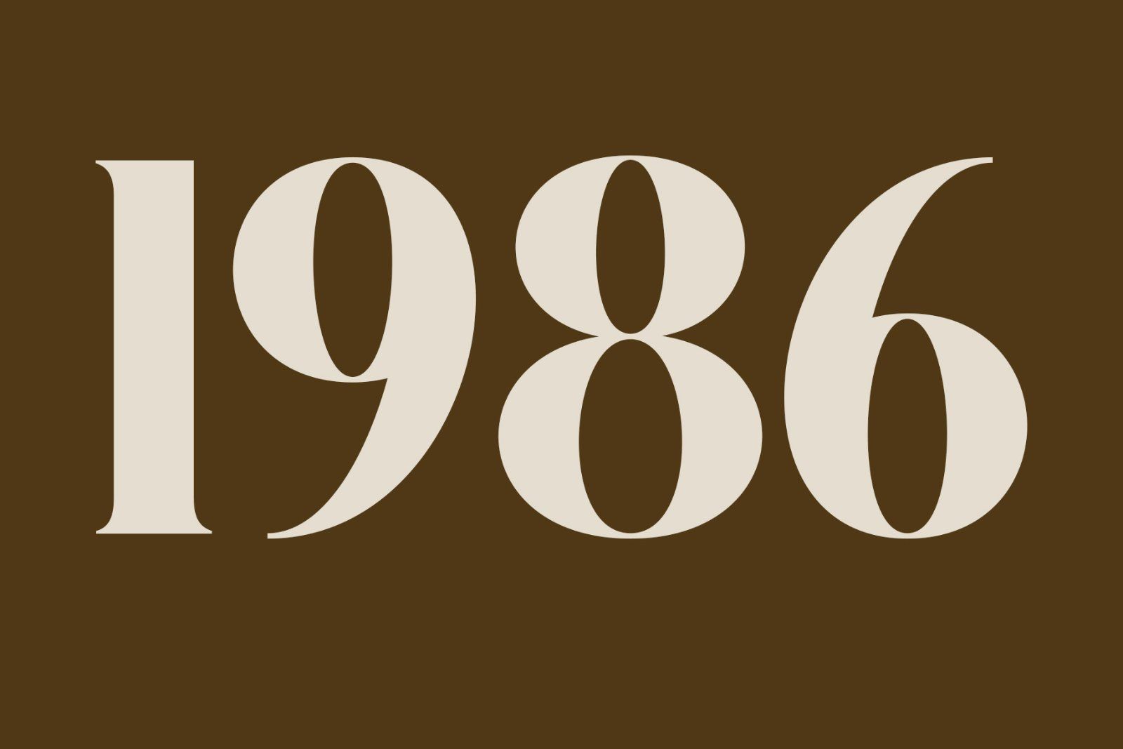 Belgina | Modern Unique Serif — image 14