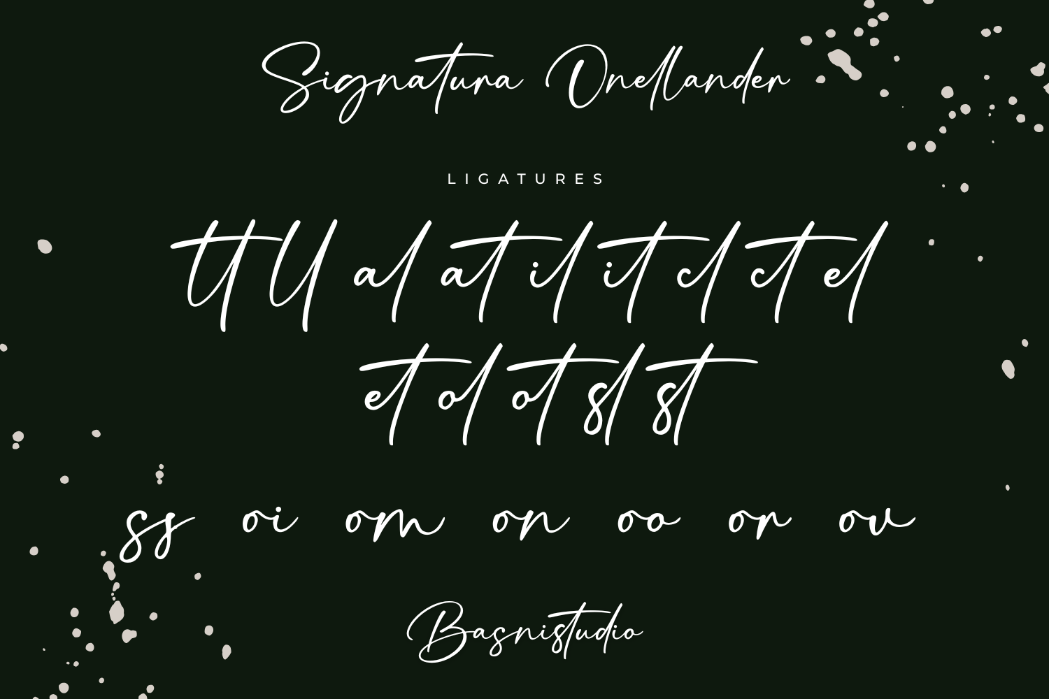 Signatura Onelander Font — image 13