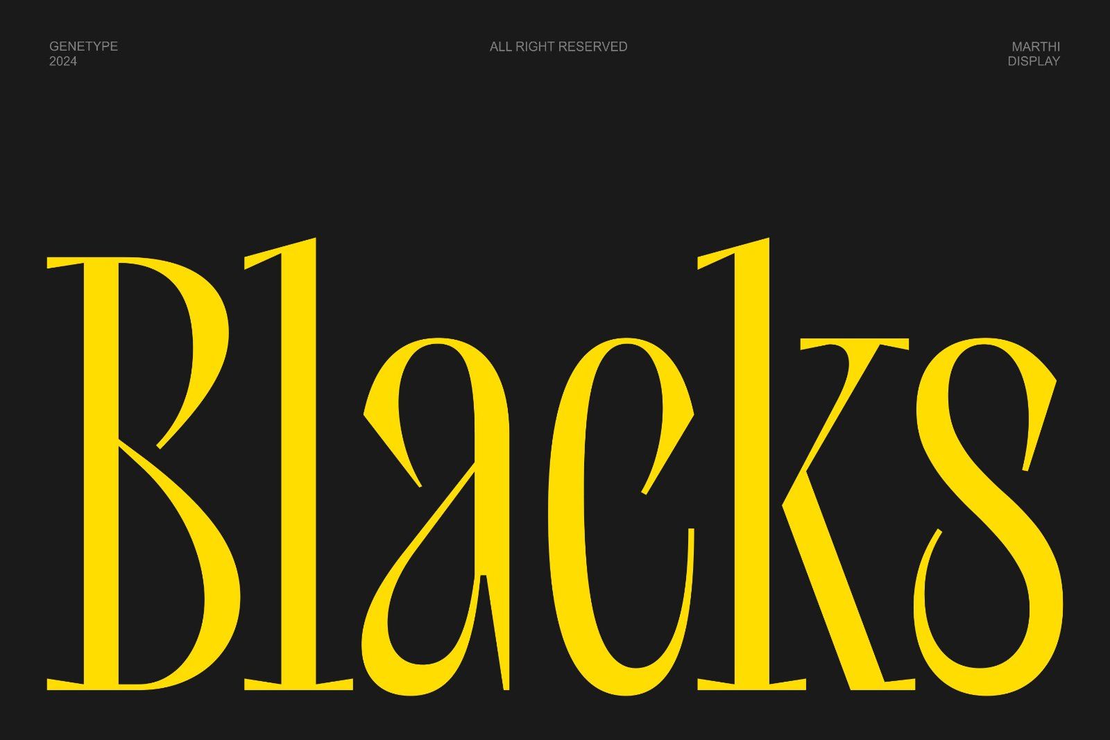 Marthi Display Serif Font — image 2
