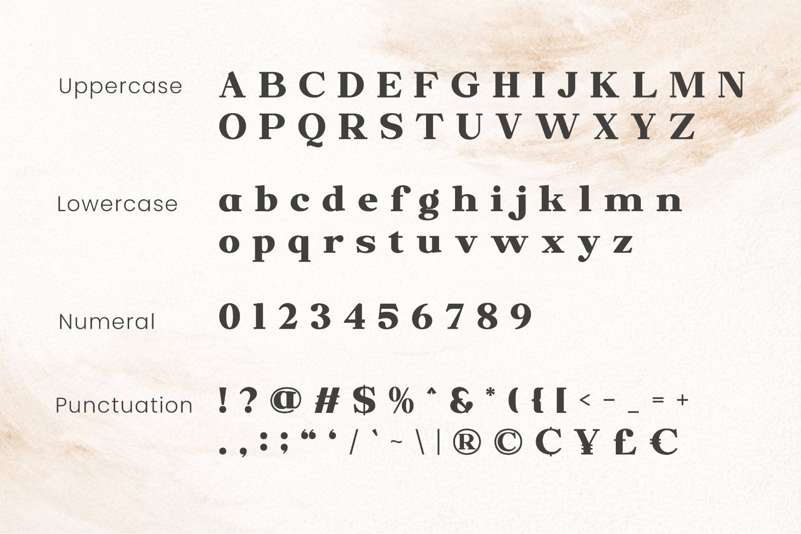 QORINE – Modern Transitional Serif — image 3