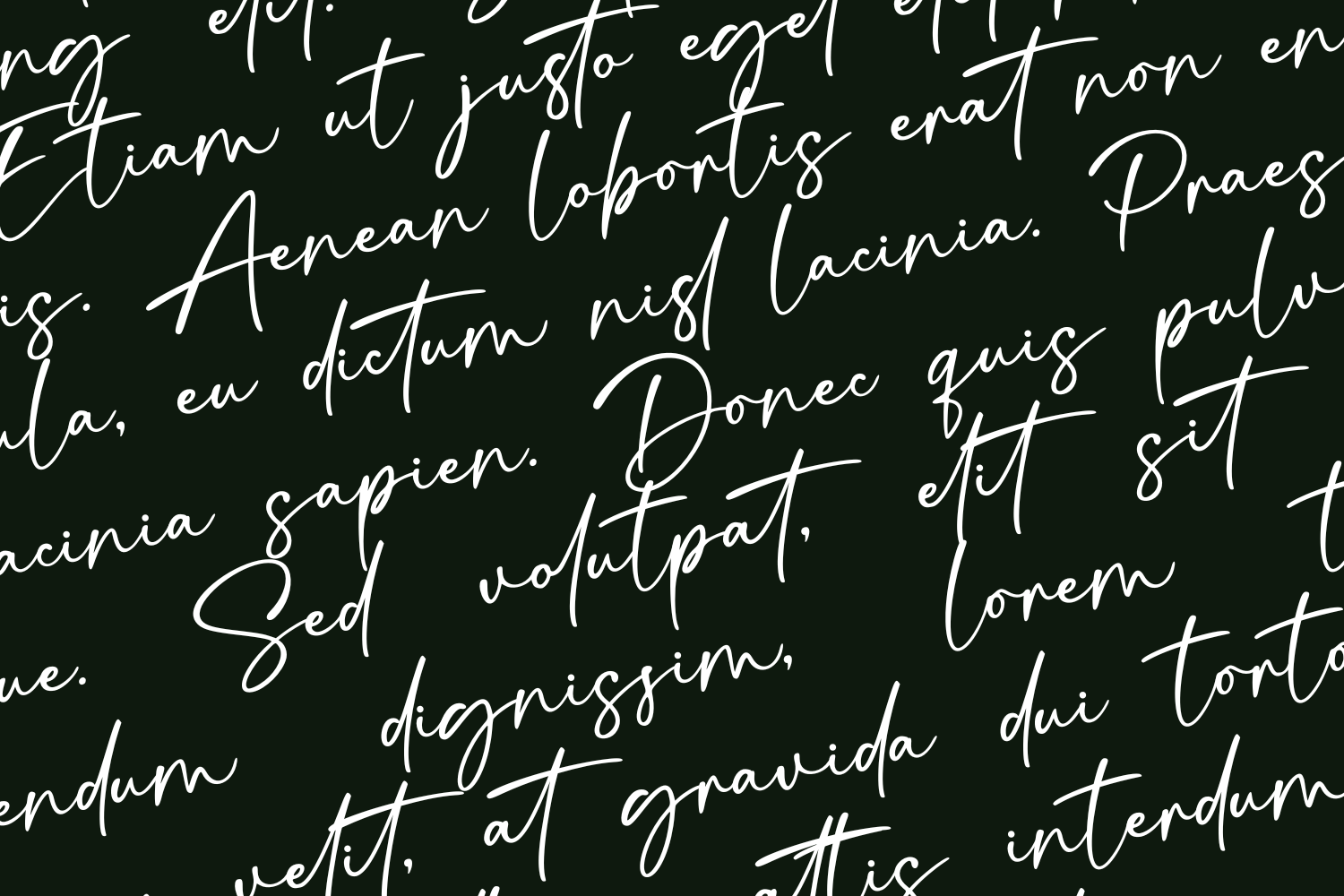Signatura Onelander Font — image 2