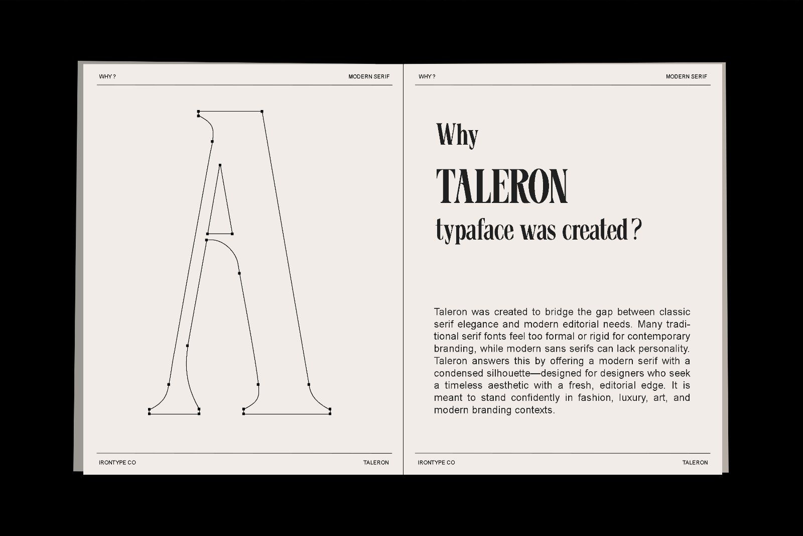 Taleron - Modern Serif — image 11