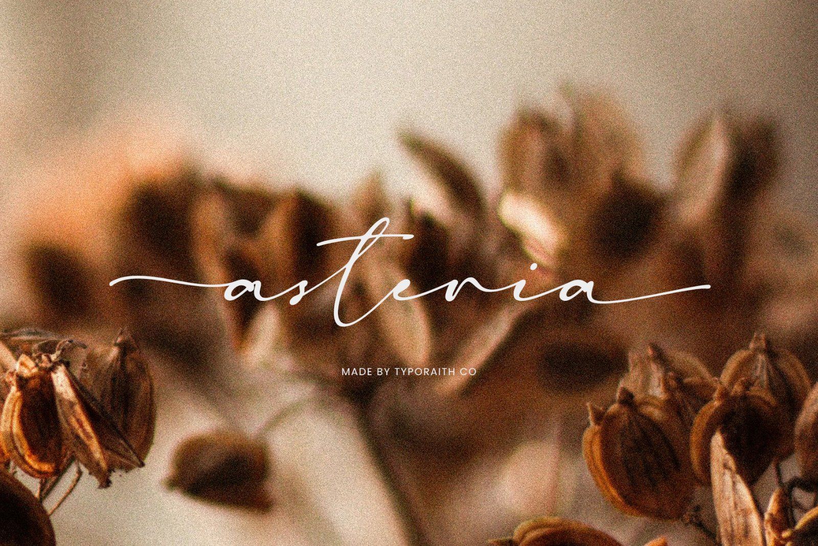 Madelisse | Elegant Signature Font — image 4