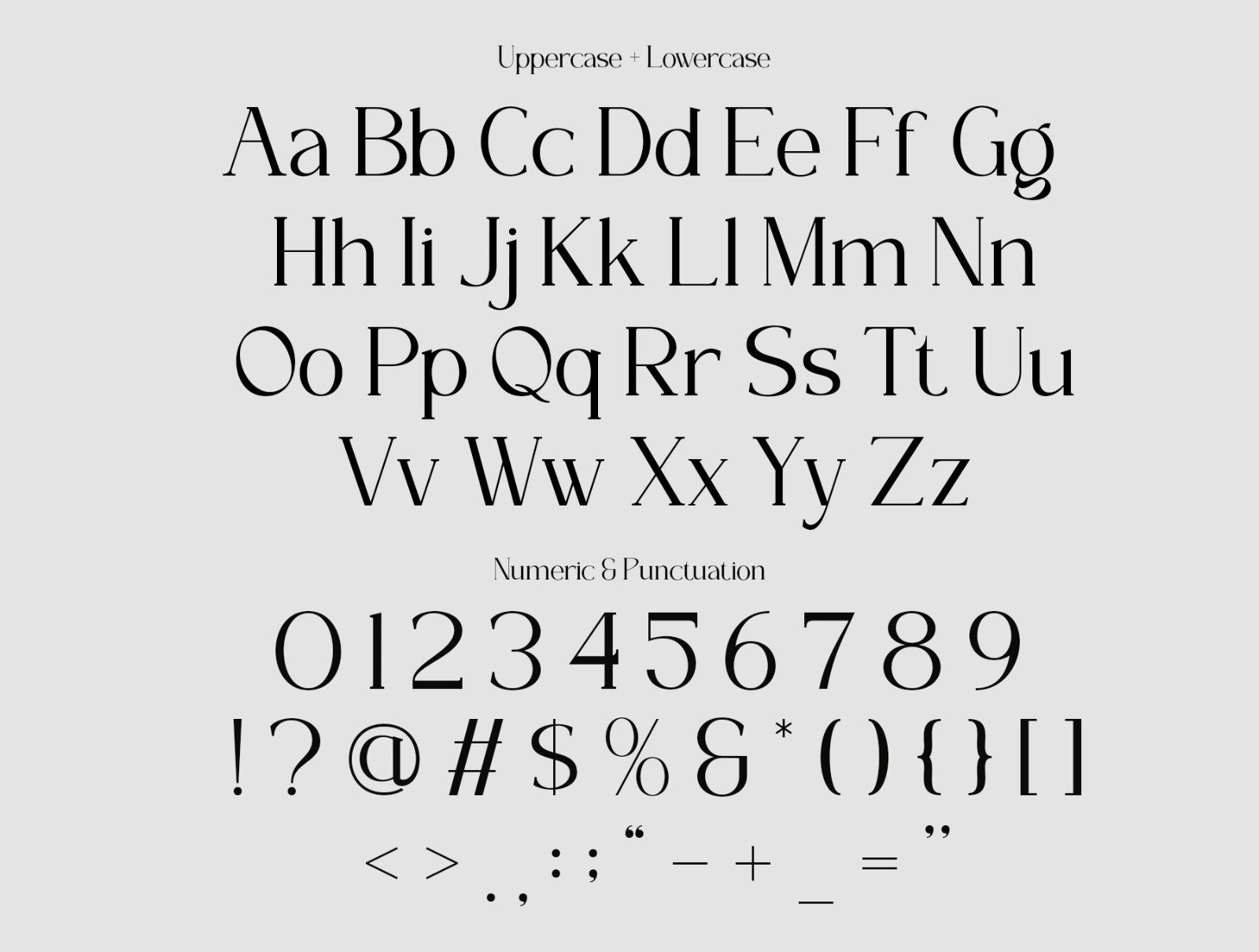 ELOVENA - Elegant Serif Font — image 6