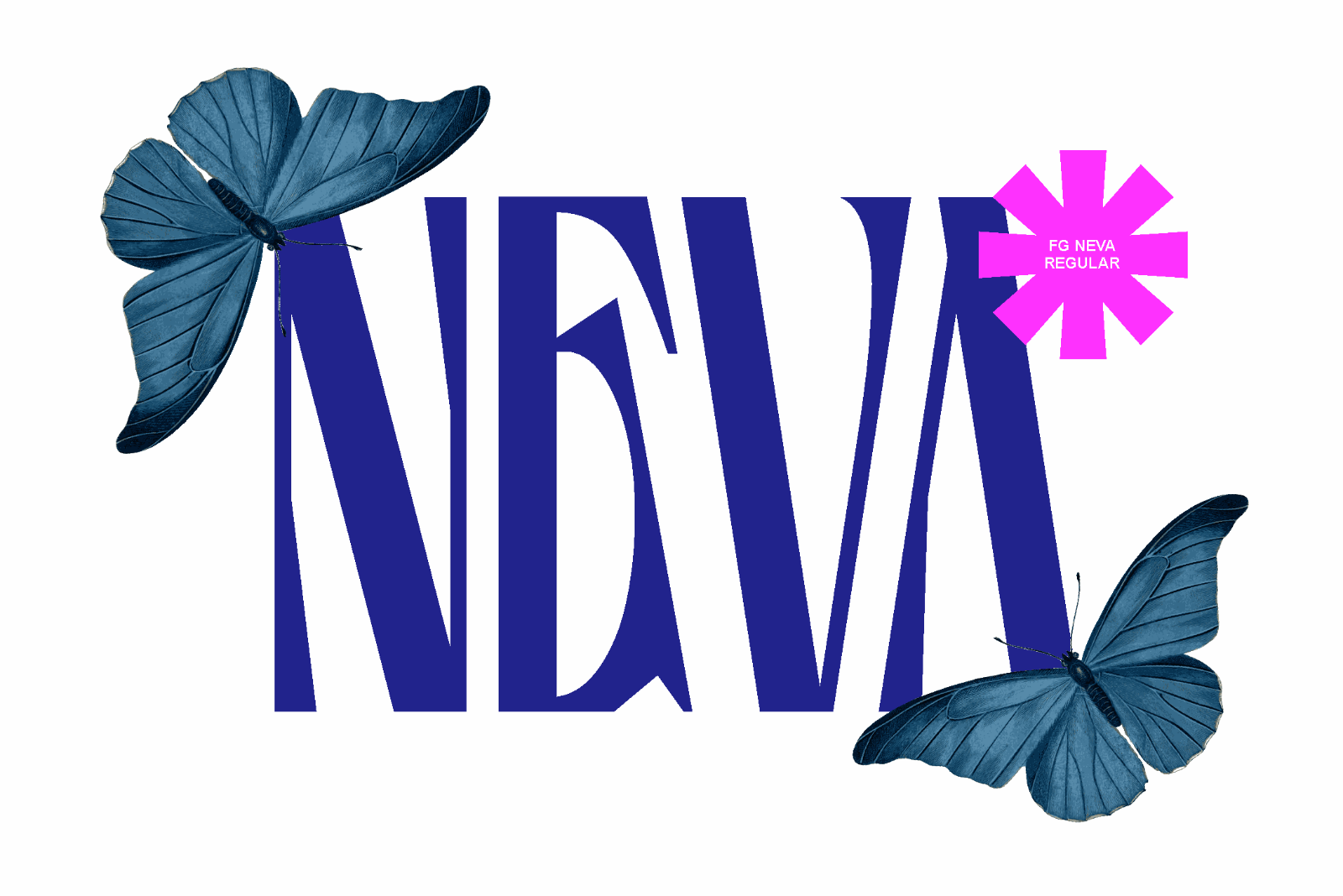 FG Neva — image 2