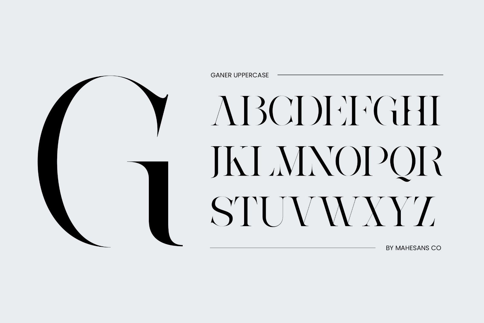 Ganer | Serif Display Font — image 2