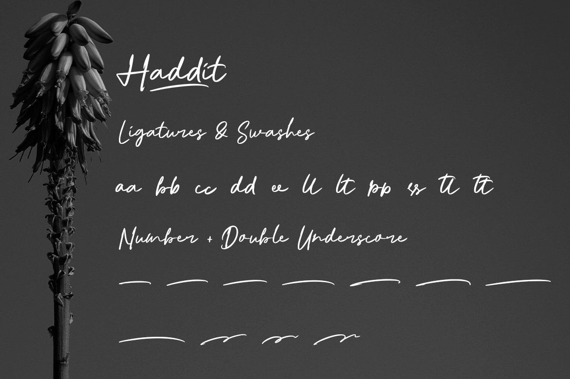 Haddit — image 2