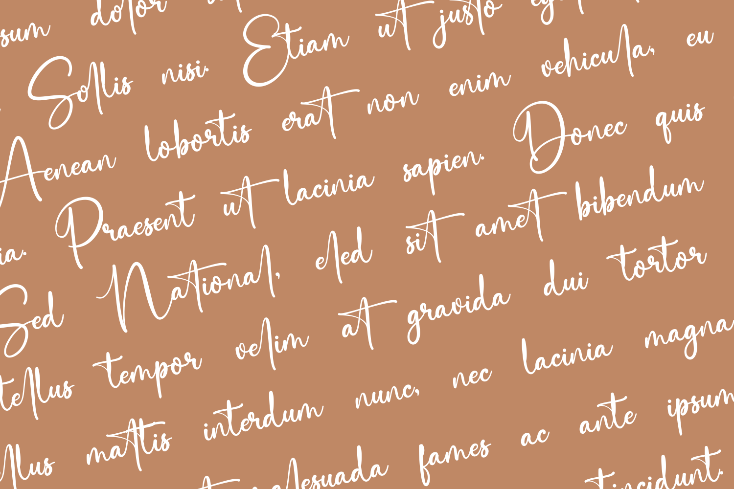 Saitingan Handwritign Font — image 2
