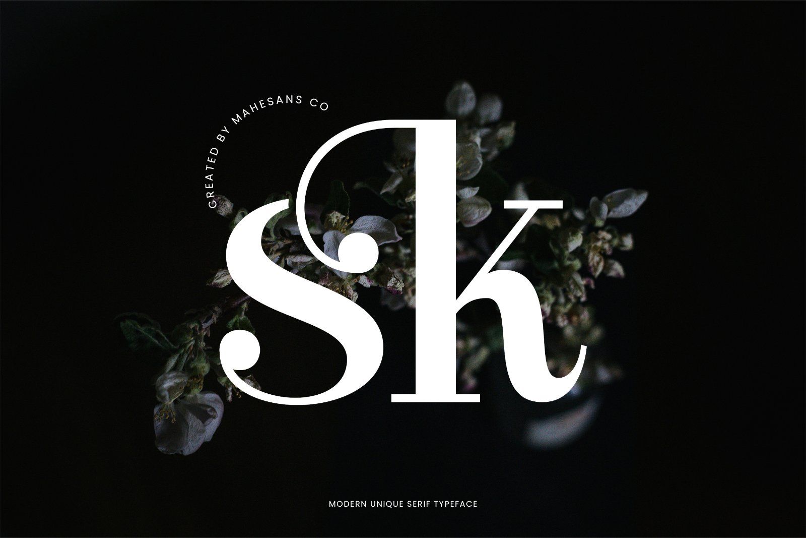 Clarita | Modern Unique Serif — image 2
