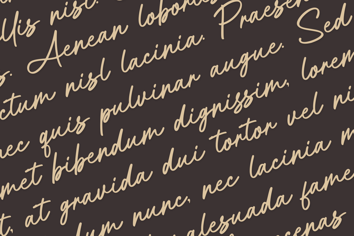 Aittemia Seikage Handwriting font — image 2
