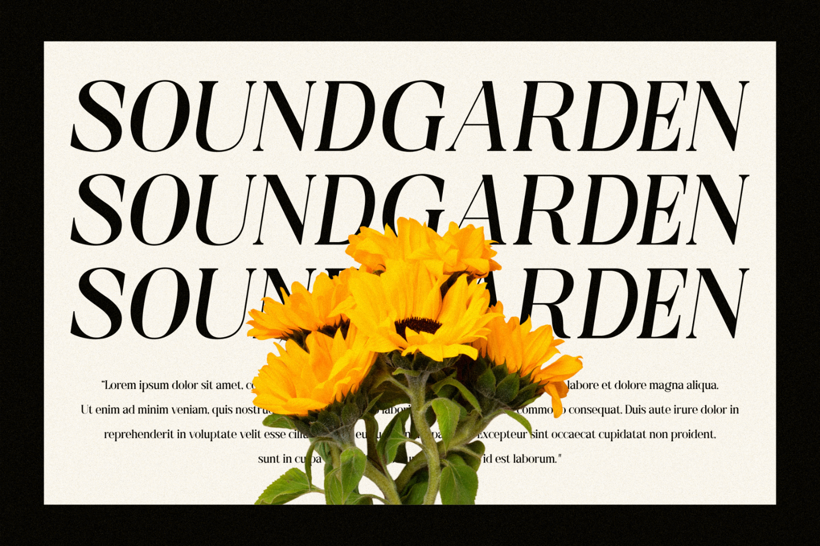 Phantom Serif Font — image 2