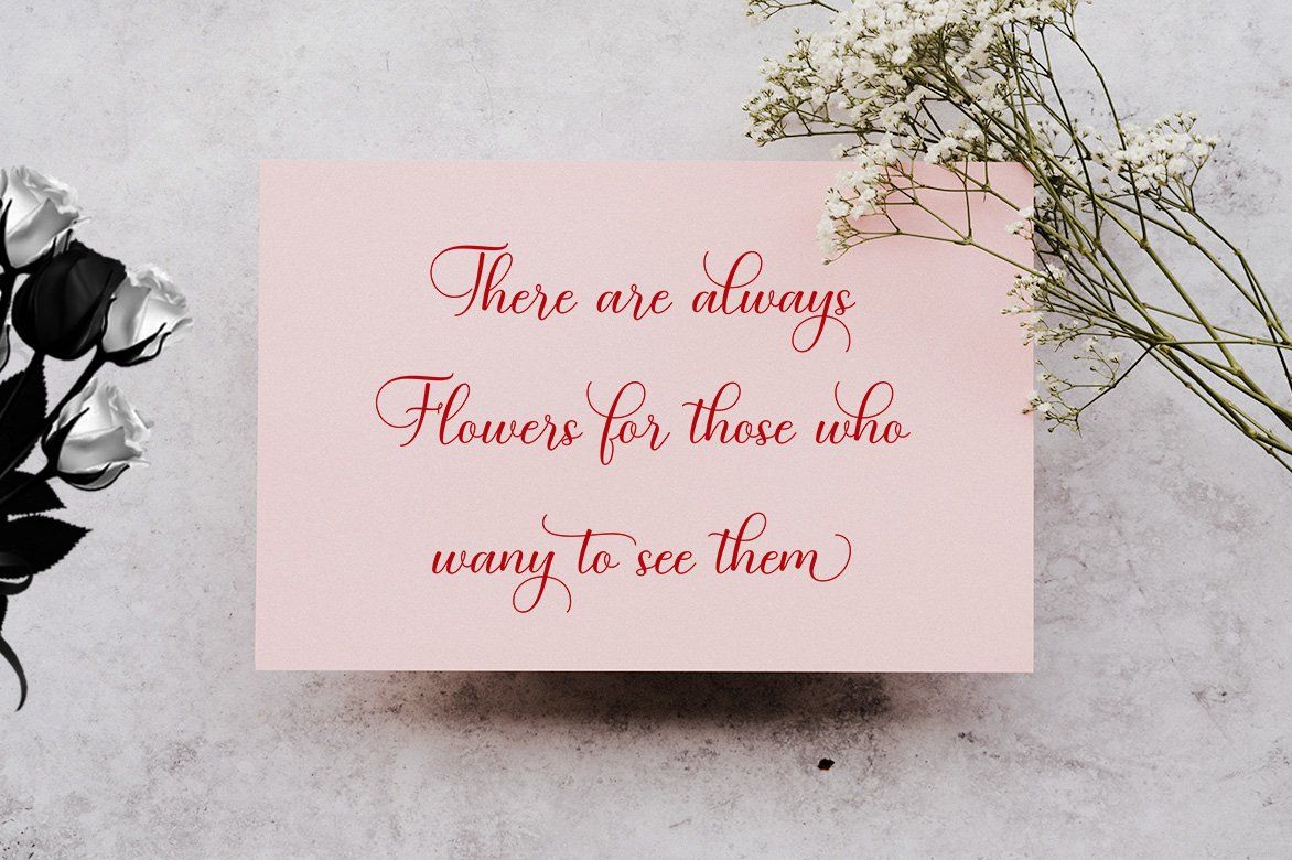 Baby Angelonia — image 2