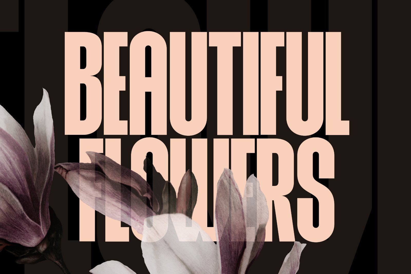 Rovex |  Bold Condensed Display Font — image 3