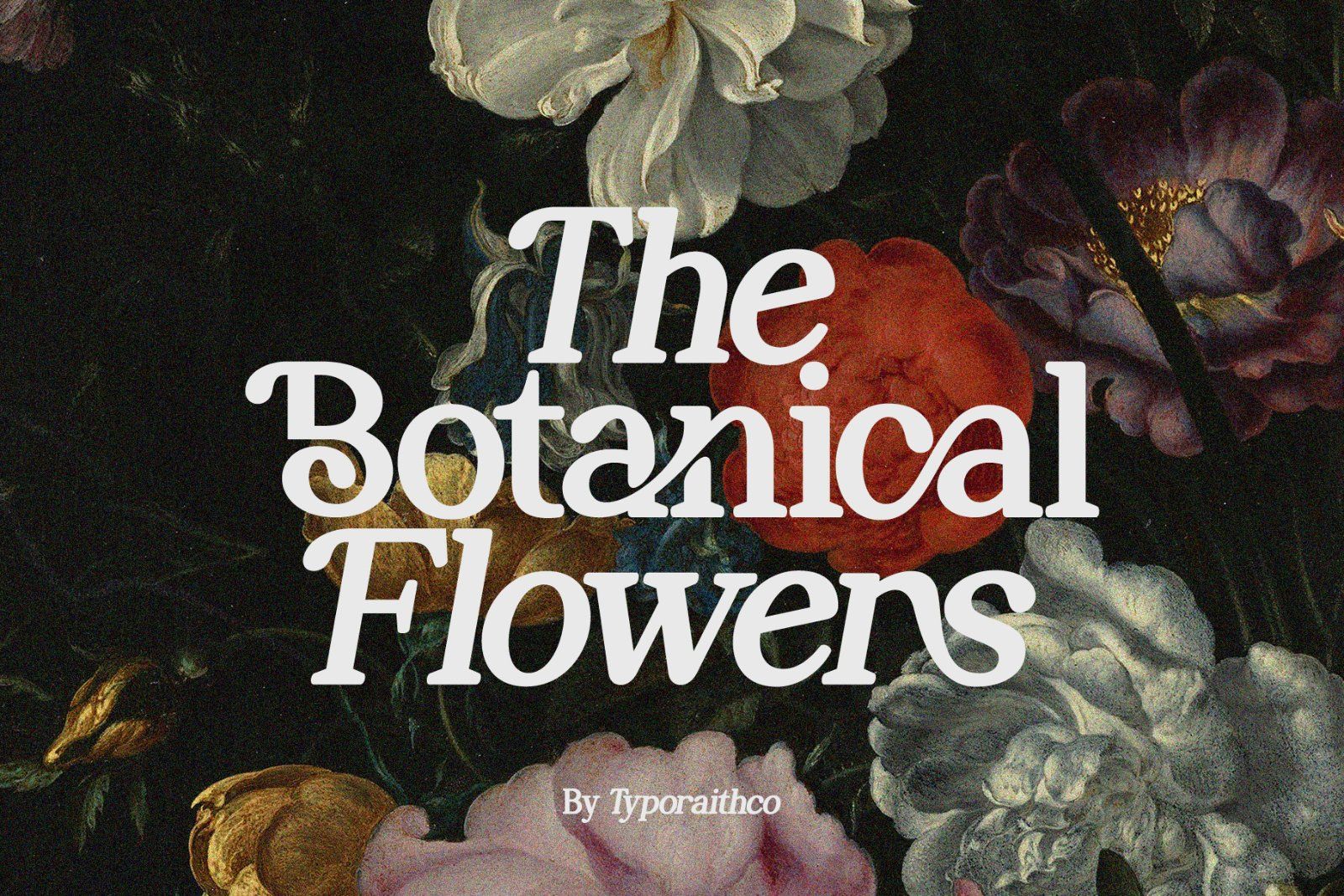 Perfect Mangue | Serif Duo Font — image 3