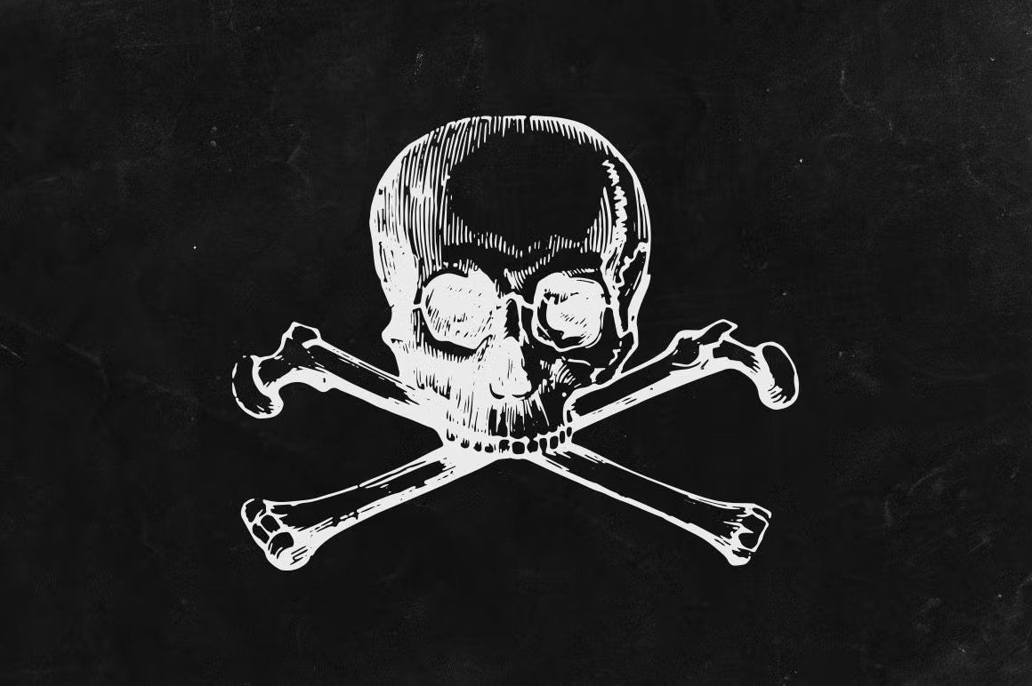 Engraved Skulls Illustrations — image 3