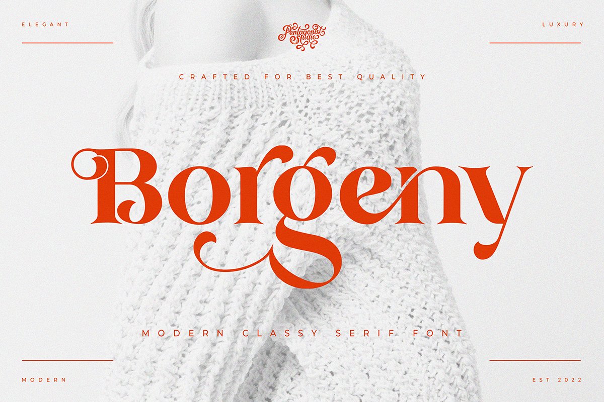 Borgeny | Modern Classy Serif Font — image 11