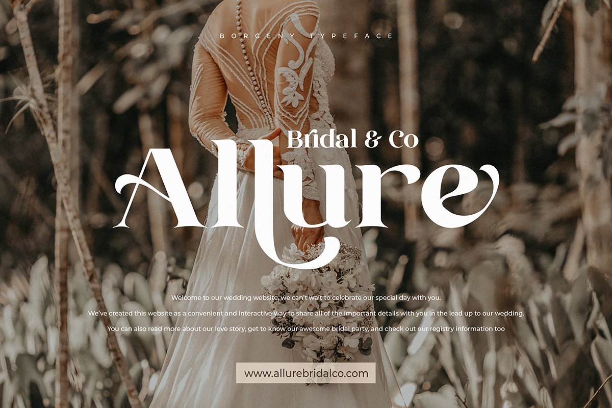 Borgeny | Modern Classy Serif Font — image 10