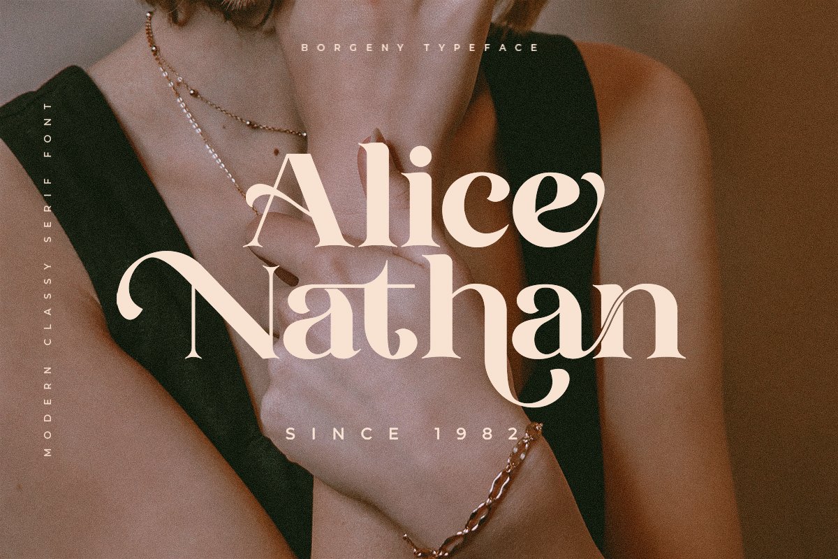 Borgeny | Modern Classy Serif Font — image 9