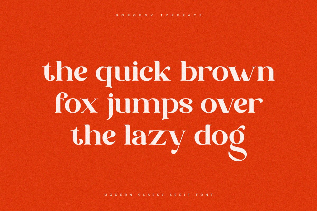 Borgeny | Modern Classy Serif Font — image 6