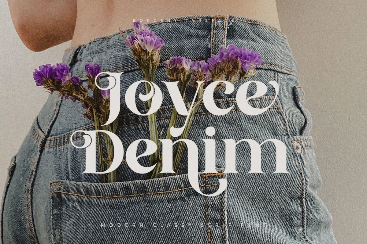 Borgeny | Modern Classy Serif Font — image 4