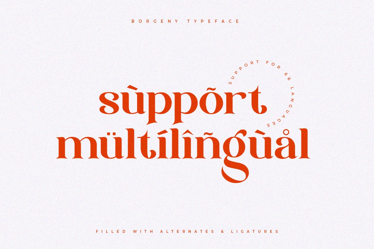 Borgeny | Modern Classy Serif Font — image 1