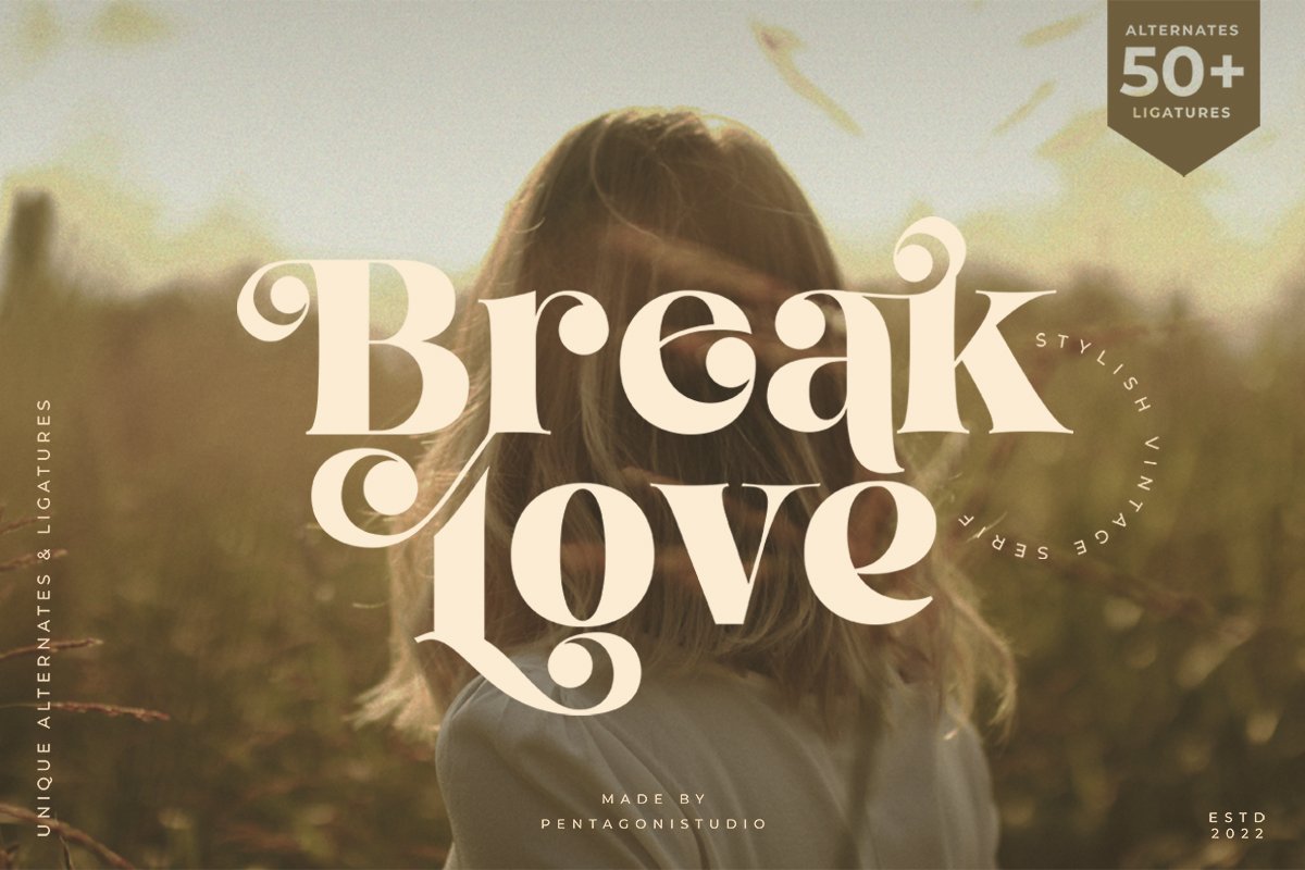 Break Love | Classy Retro Font — image 10