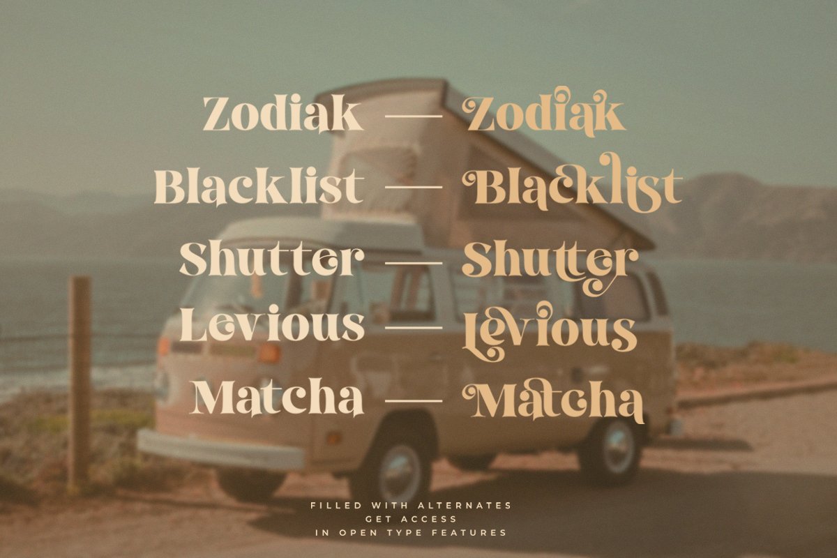 Break Love | Classy Retro Font — image 8