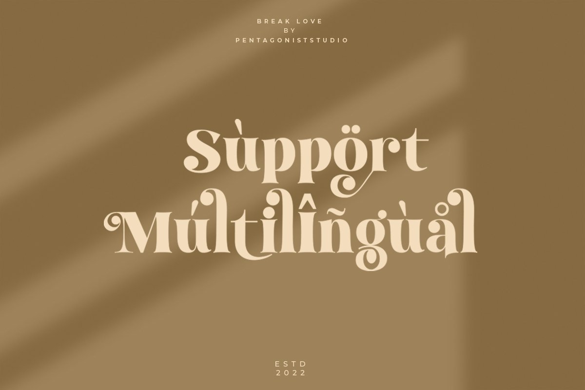 Break Love | Classy Retro Font — image 5