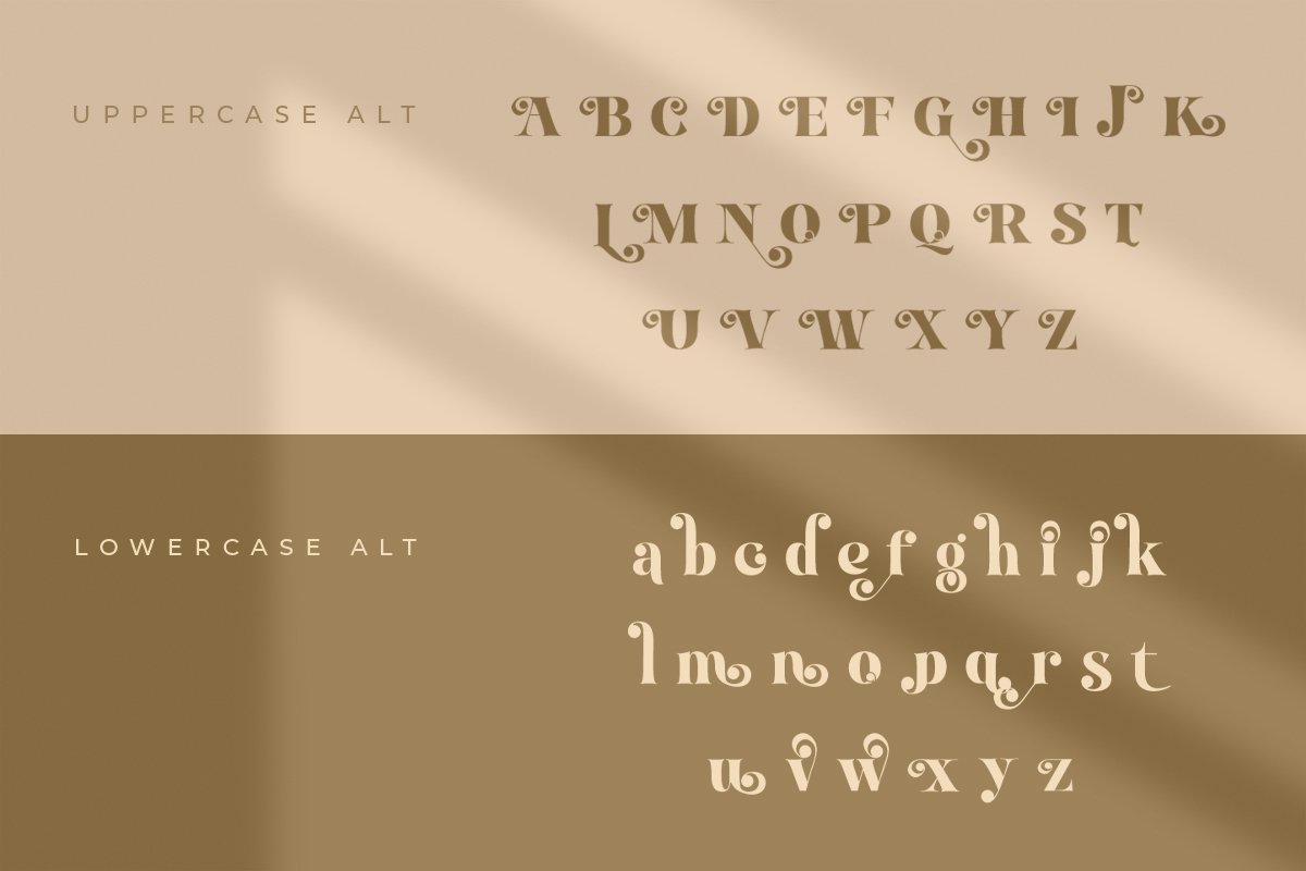 Break Love | Classy Retro Font — image 3