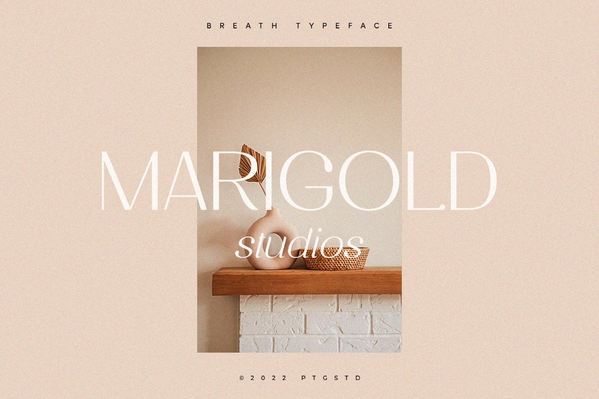 Breath | Modern Ligature Serif — image 5