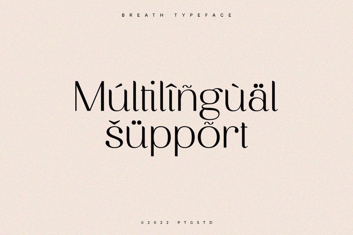 Breath | Modern Ligature Serif — image 3