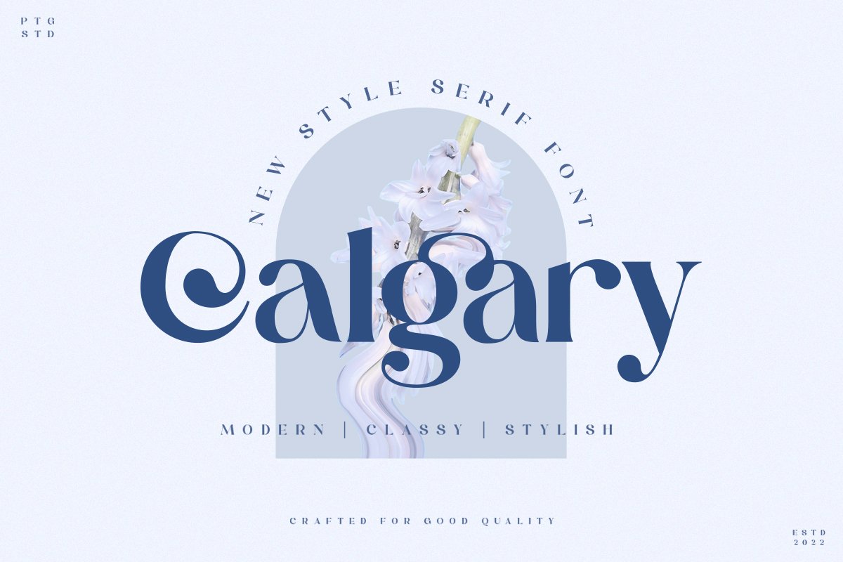 Calgary | New Stylish Serif Font — image 20