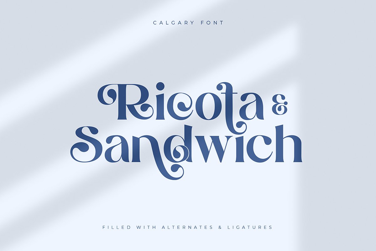 Calgary | New Stylish Serif Font — image 19