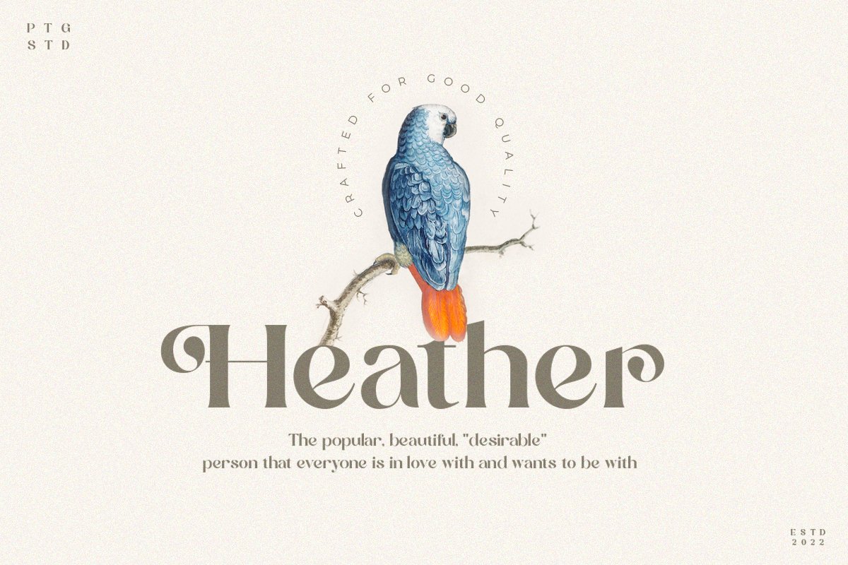 Calgary | New Stylish Serif Font — image 18