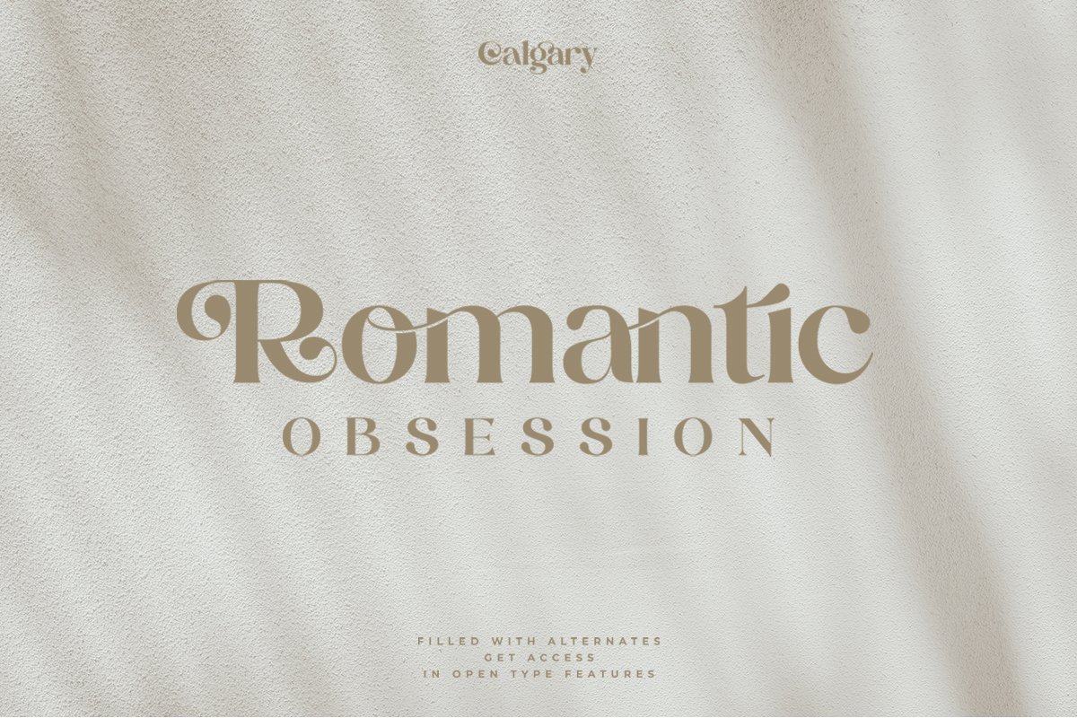 Calgary | New Stylish Serif Font — image 17