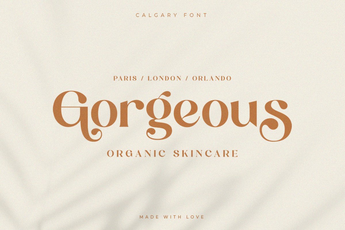 Calgary | New Stylish Serif Font — image 14