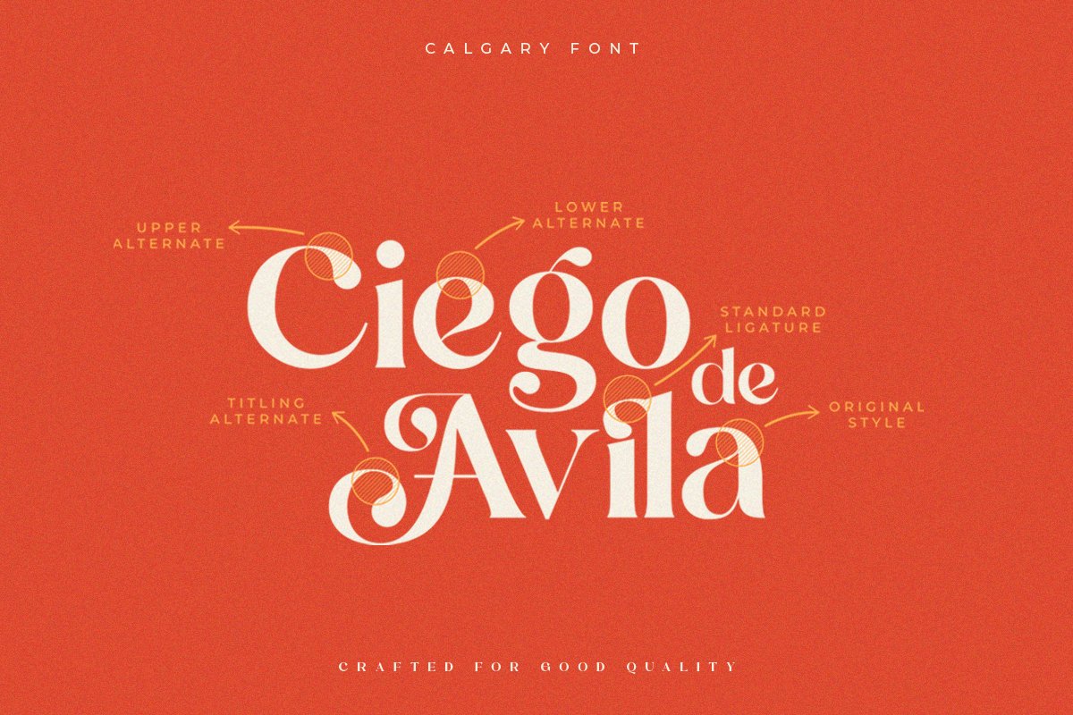 Calgary | New Stylish Serif Font — image 6