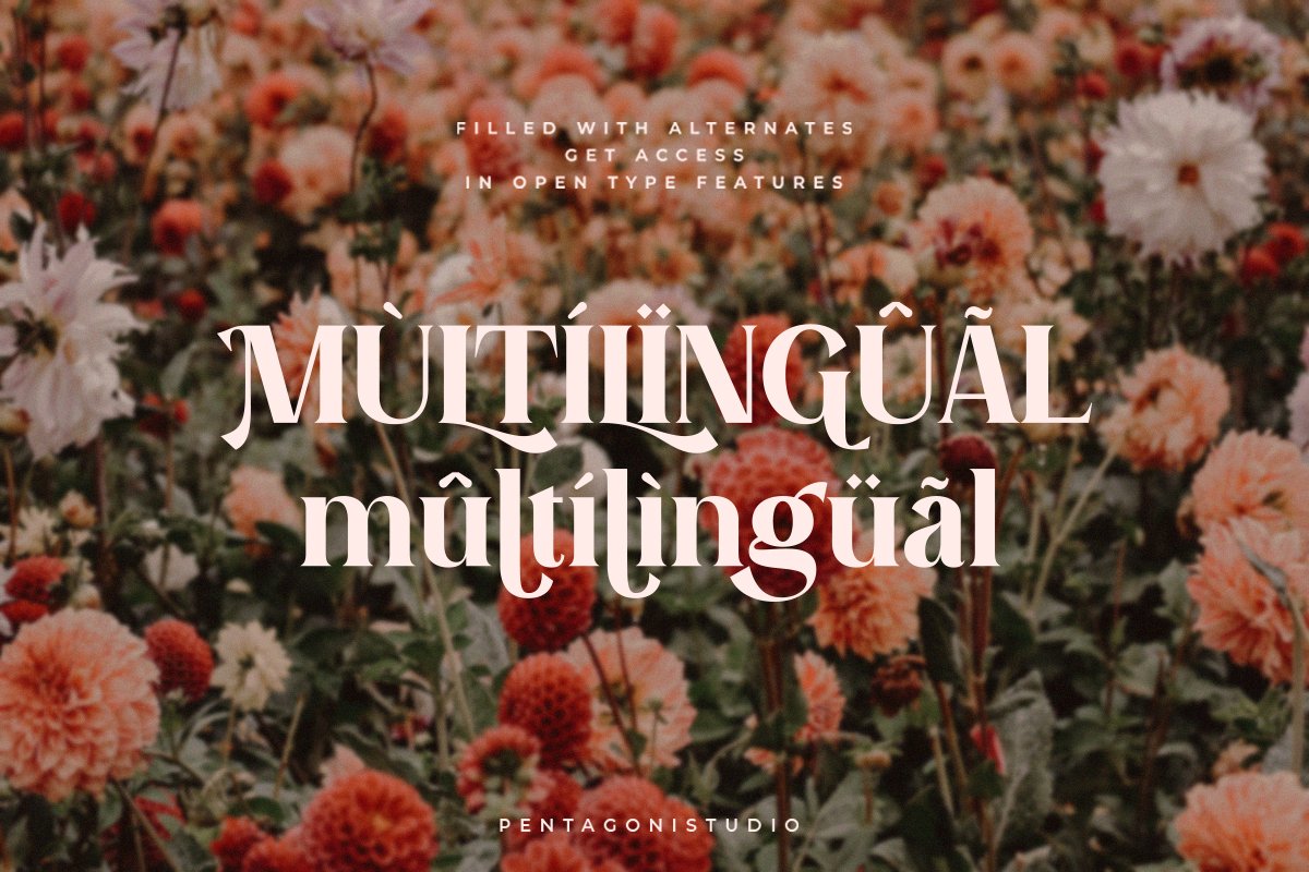 Evoria | Modern Serif Font — image 5