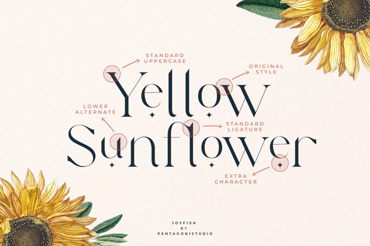 Joyfish | Lovely Serif Font — image 3