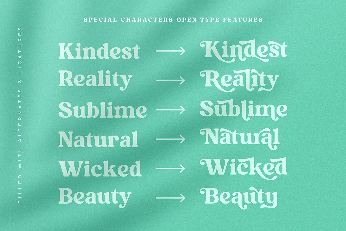 Kindest Reality | A Nostalgic Serif — image 5
