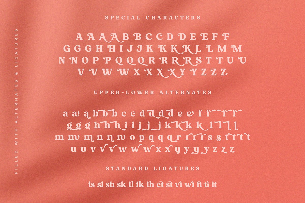 Kindest Reality | A Nostalgic Serif — image 3