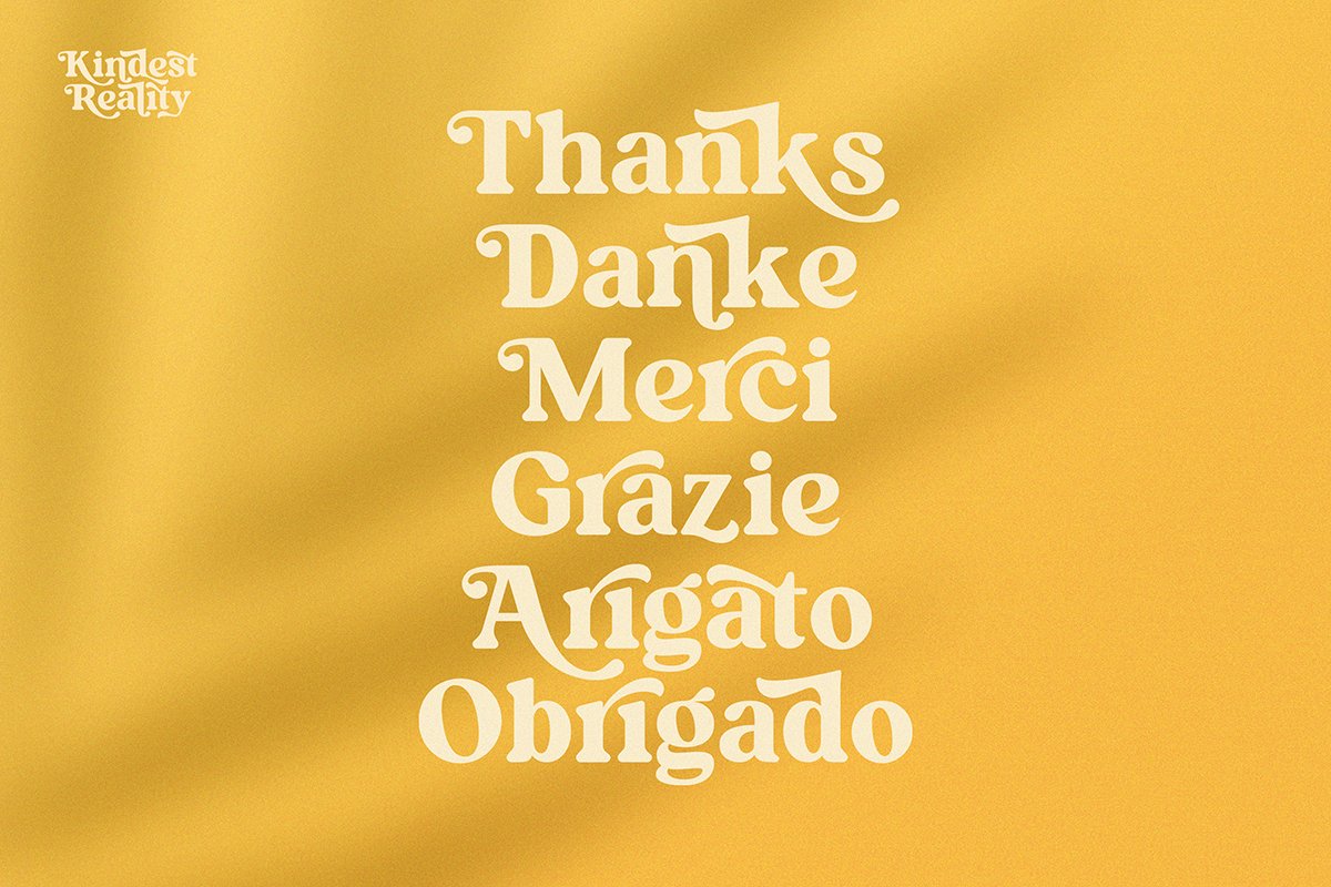Kindest Reality | A Nostalgic Serif — image 2